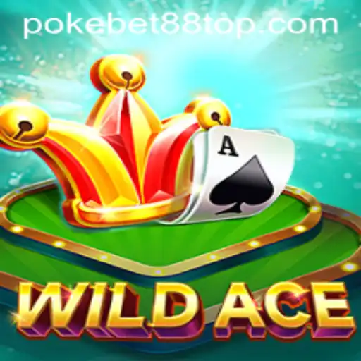 WildAce: A Comprehensive Guide to the Latest Sensation in Online Gaming